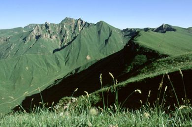 besse